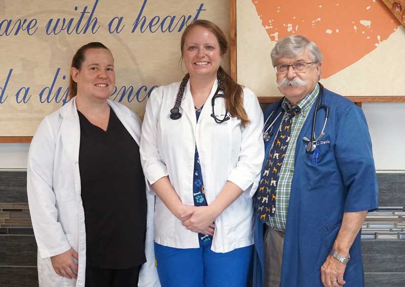 Carousel Slide 3: Meet our veterinarians